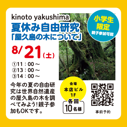 Kinoto Yakushima 夏休み自由研究 屋久島の木について よかど鹿児島